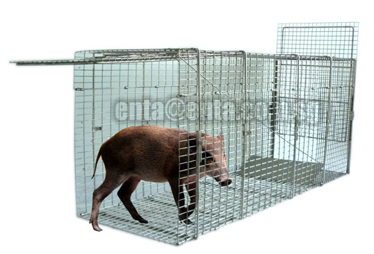 Large Animal Traps